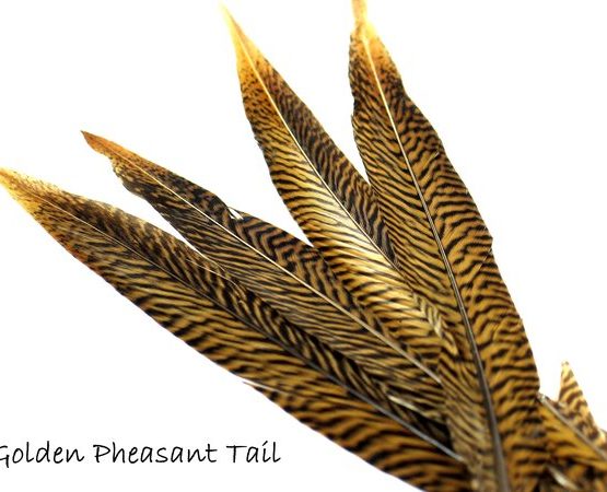 Nature's Spirit Golden Pheasant Side Tails (Select Pair)